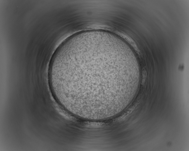 X0000096971039200803071001