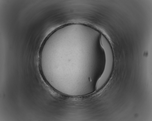 X0000096971040200803071001