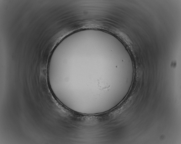 X0000096971041200803071001