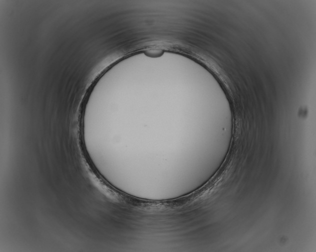 X0000096971042200803071001