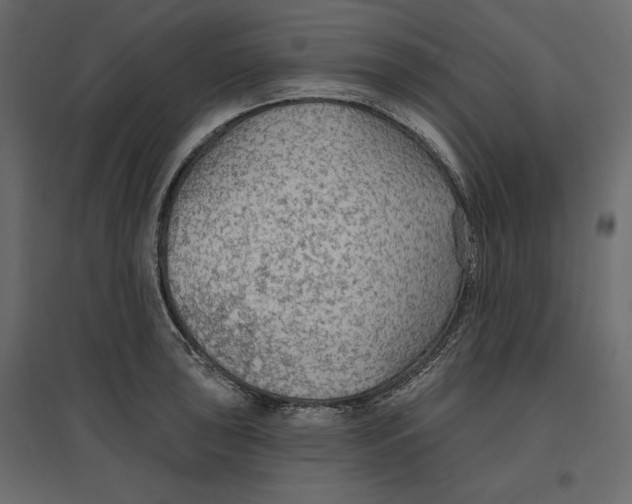 X0000096971043200803071001