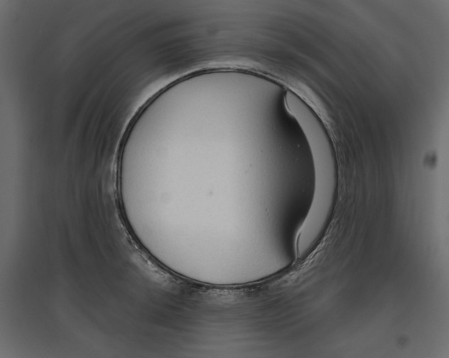 X0000096971044200803071001