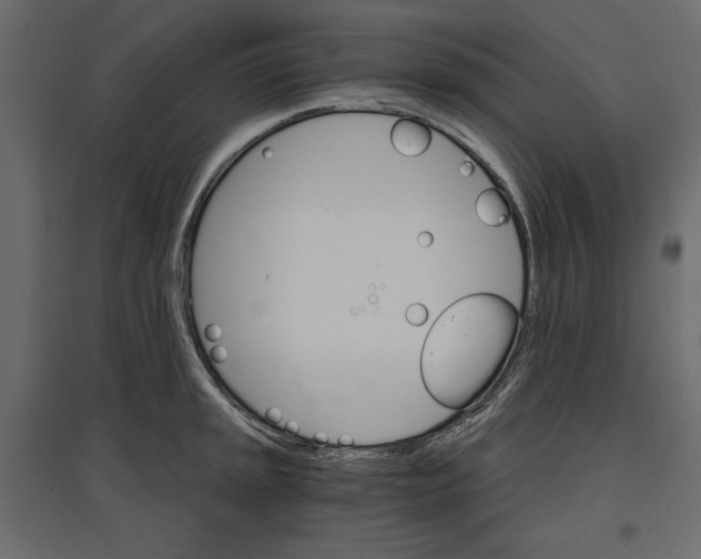 X0000096971045200803071001