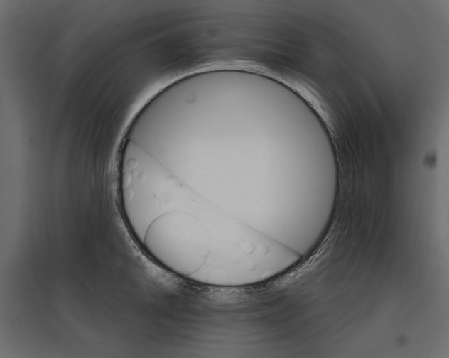 X0000096971046200803071001