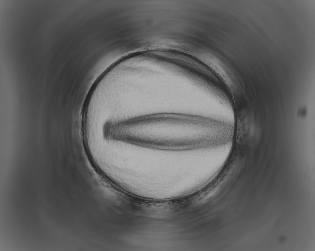 X0000096971047200803071001