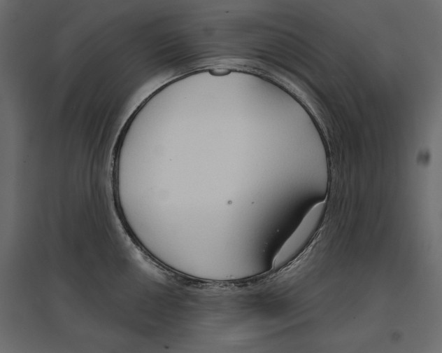 X0000096971050200803071001