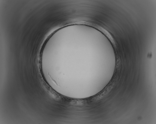 X0000096971051200803071001