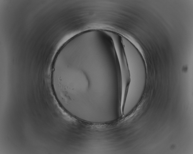 X0000096971053200803071001