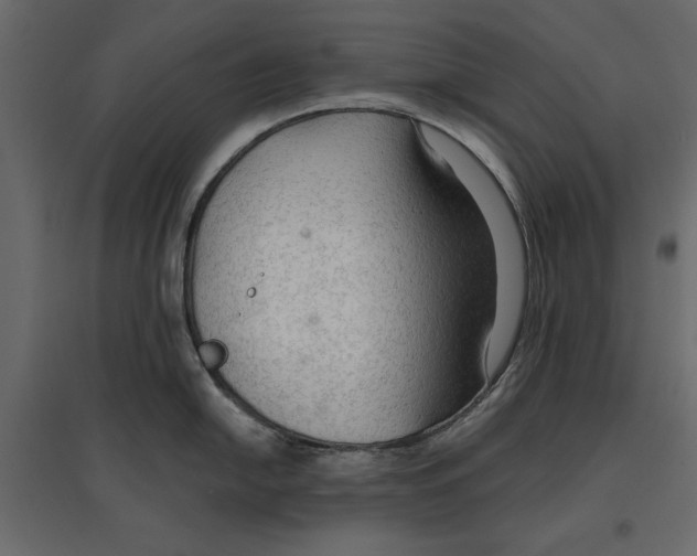 X0000096971054200803071002