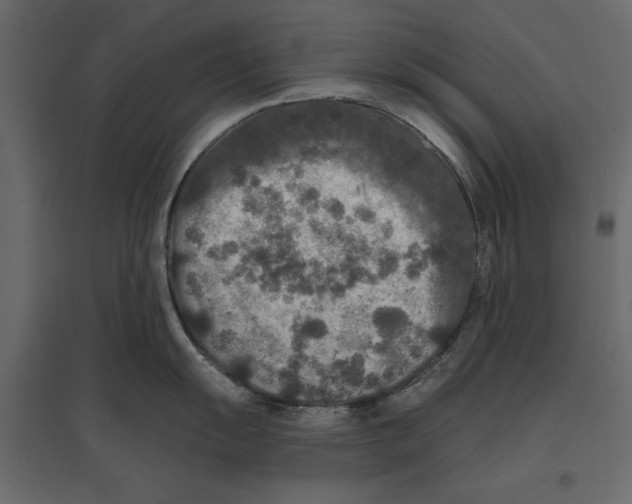 X0000096971055200803071002