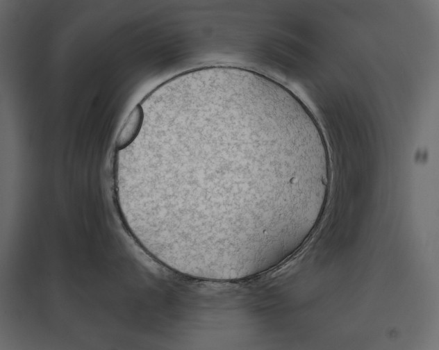 X0000096971056200803071002