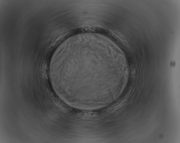 X0000096971060200803071001