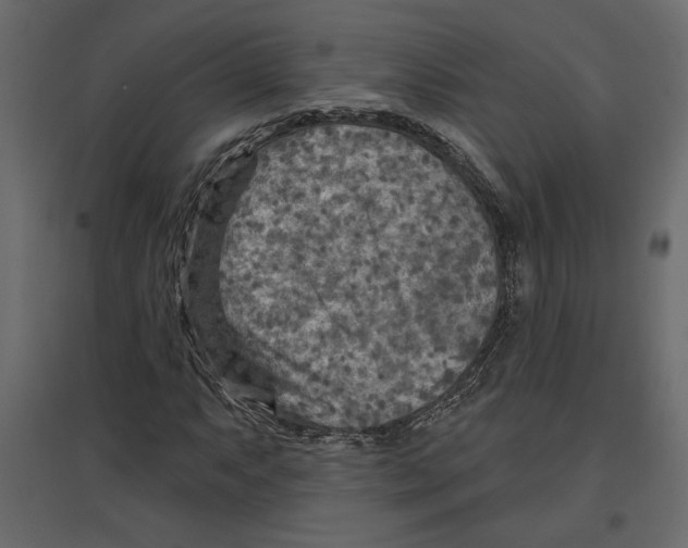 X0000096971063200803071001