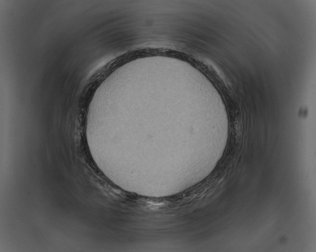 X0000096971064200803071001