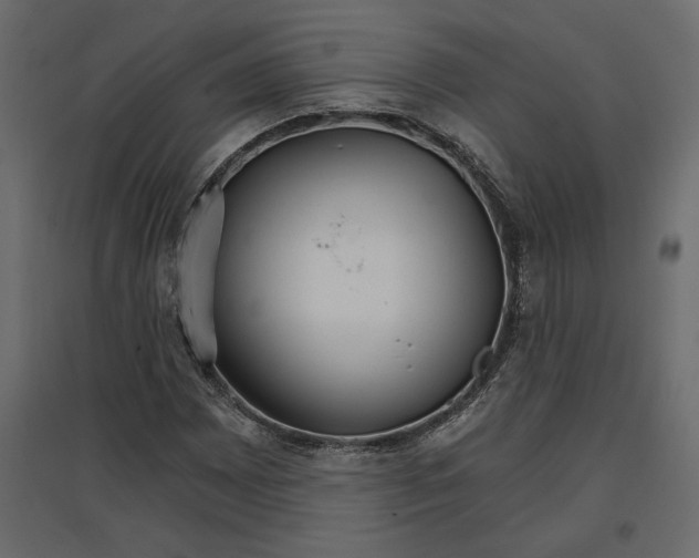 X0000096971065200803071001