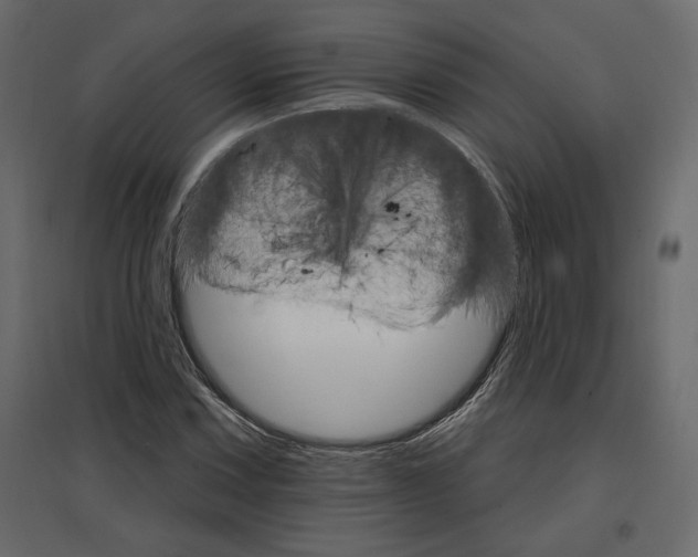 X0000096971067200803071001