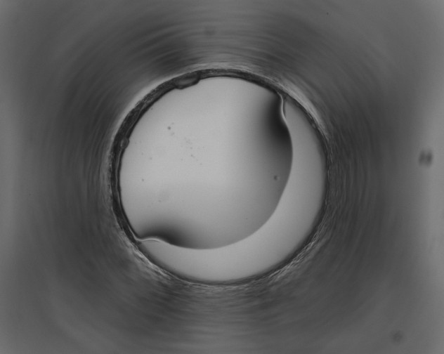 X0000096971068200803071001