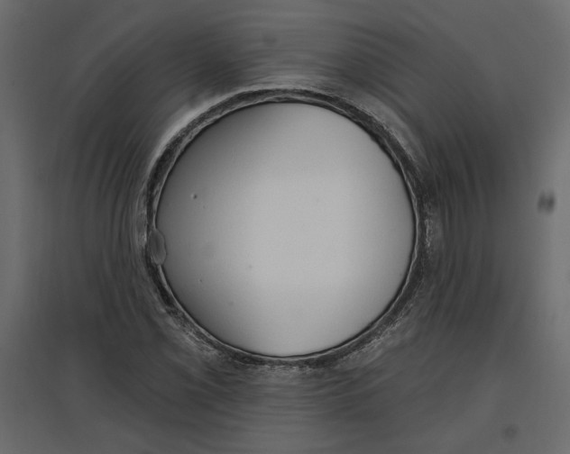 X0000096971069200803071001