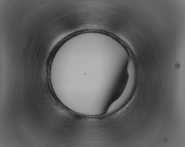 X0000096971070200803071001