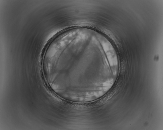 X0000096971071200803071000