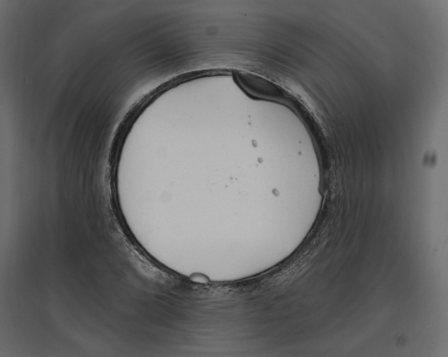 X0000096971072200803071000