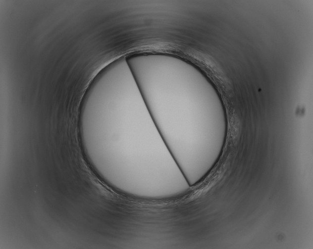 X0000096971073200803071000