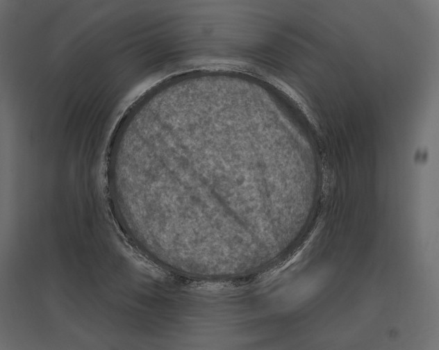 X0000096971074200803071000