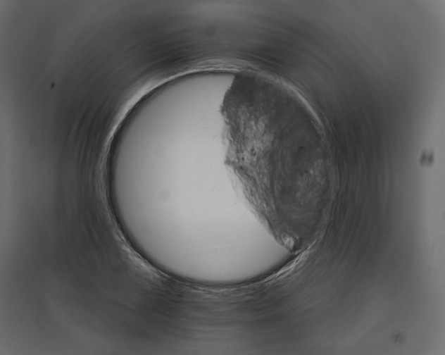 X0000096971075200803071000