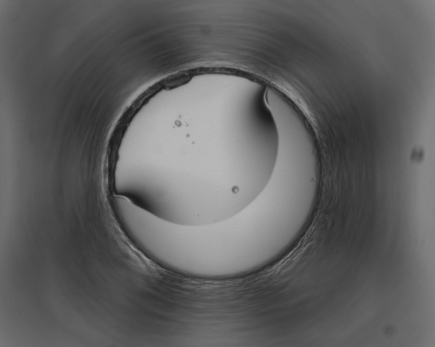 X0000096971076200803071000