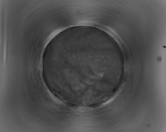 X0000096971077200803071000