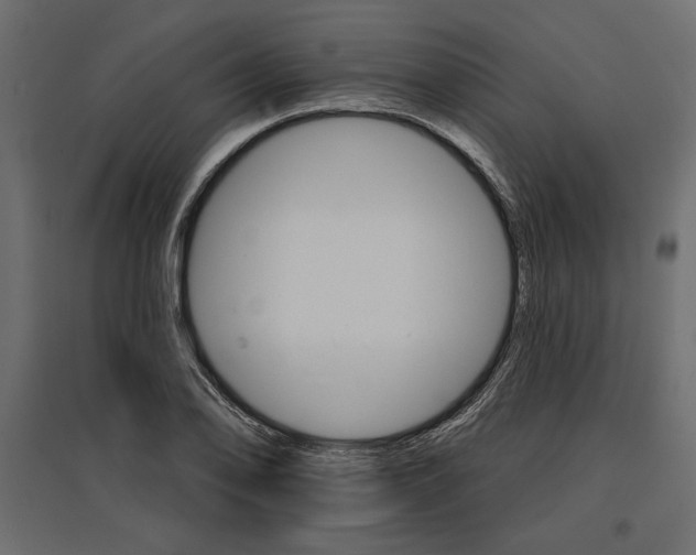 X0000096971078200803071000