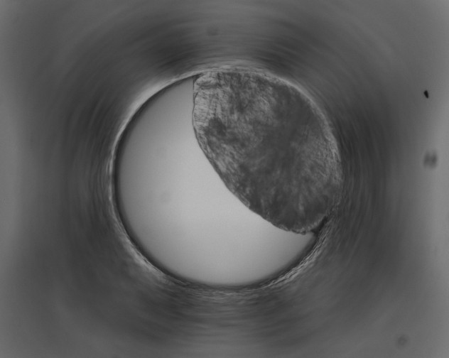 X0000096971079200803071000