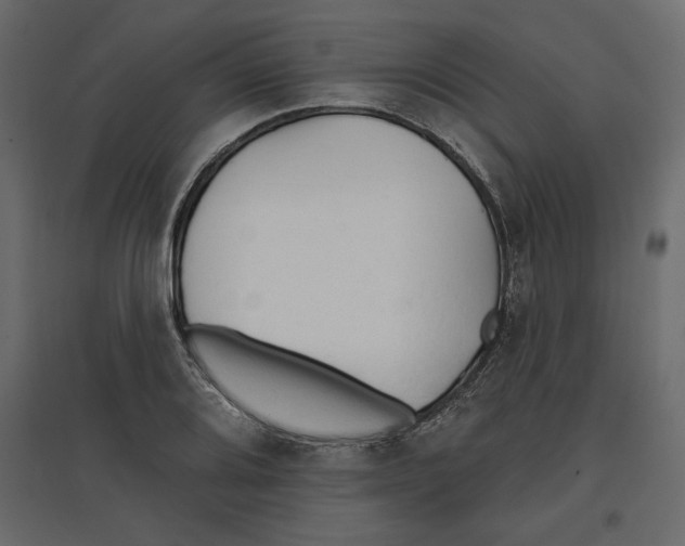 X0000096971080200803071000