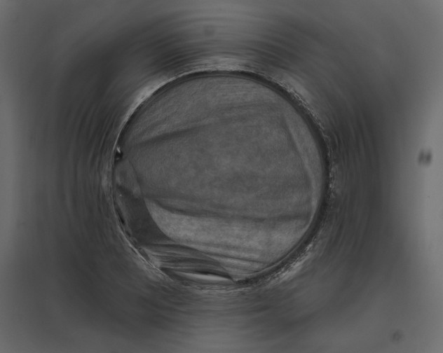 X0000096971081200803071000