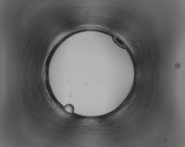 X0000096971082200803071000