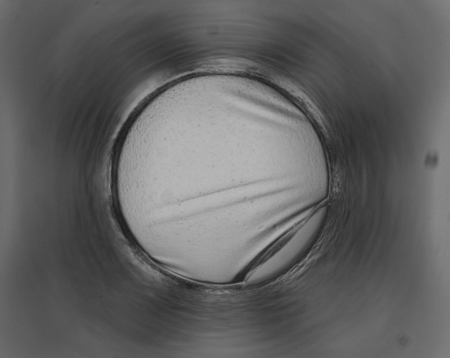 X0000096971083200803071000