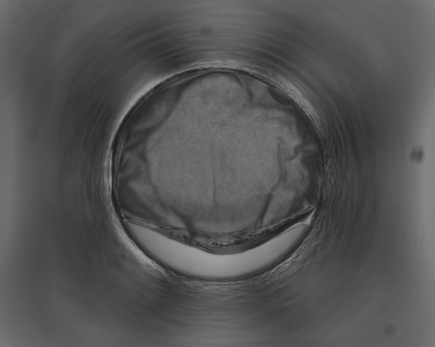 X0000096971084200803071000