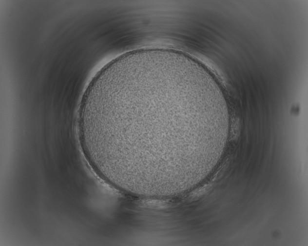 X0000096971086200803071000