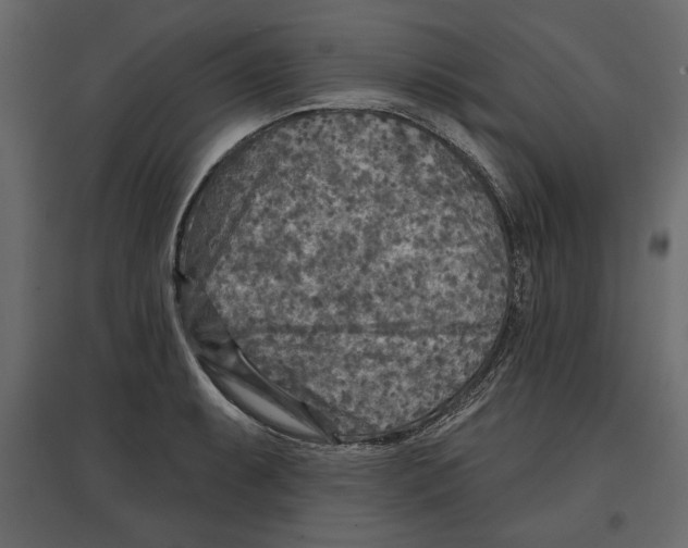 X0000096971087200803071000