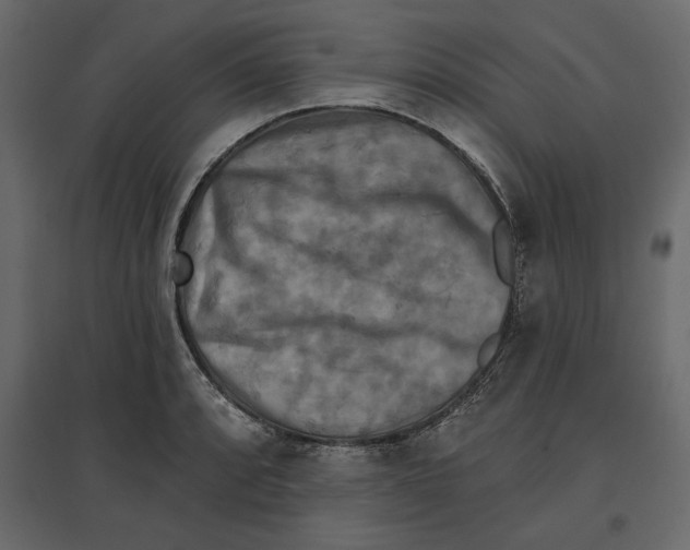 X0000096971088200803071000