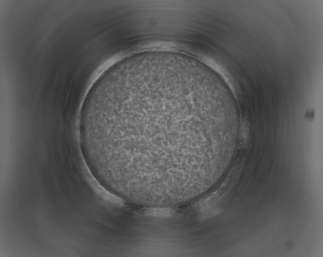 X0000096971090200803071000