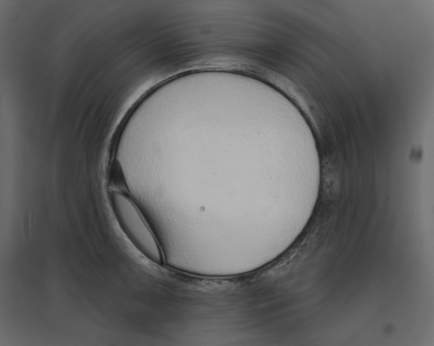 X0000096971091200803071000