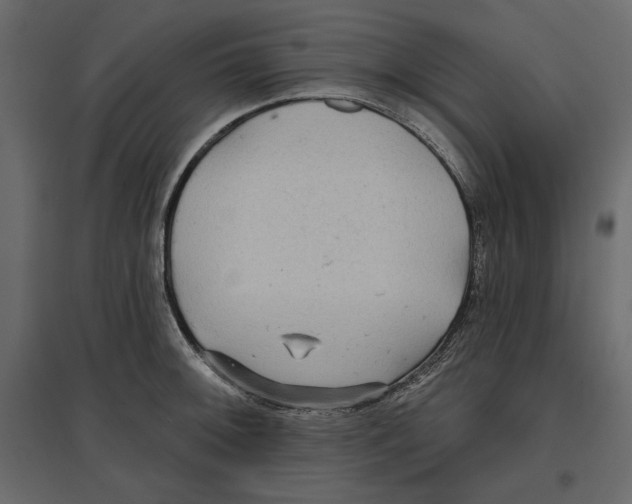 X0000096971092200803071000