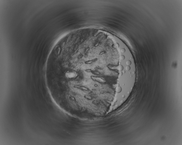 X0000096971095200803071000