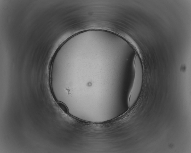 X0000096971096200803071000