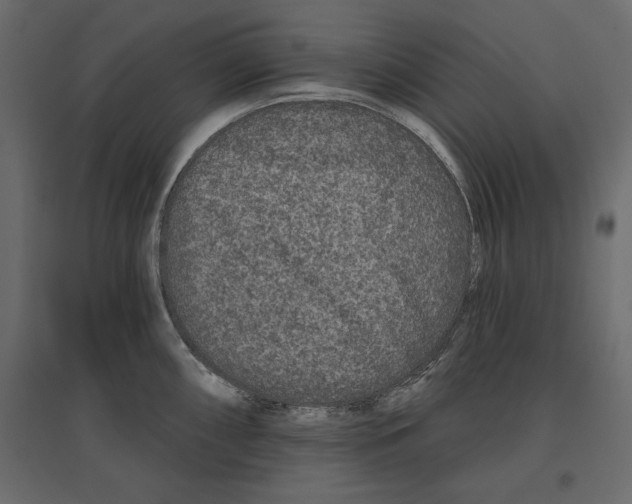 X0000096971098200803071000