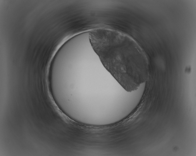 X0000096971099200803071000