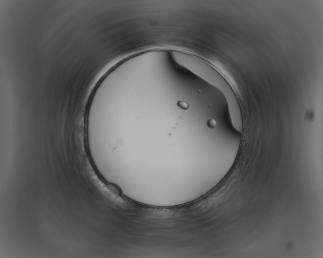 X0000096971100200803071000