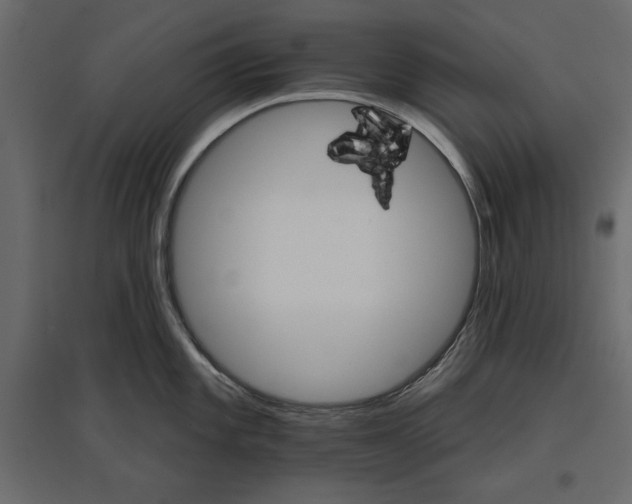 X0000096971101200803071000