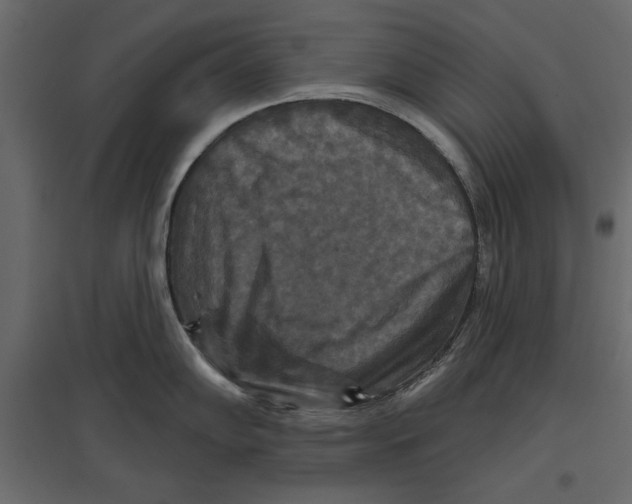 X0000096971102200803071000